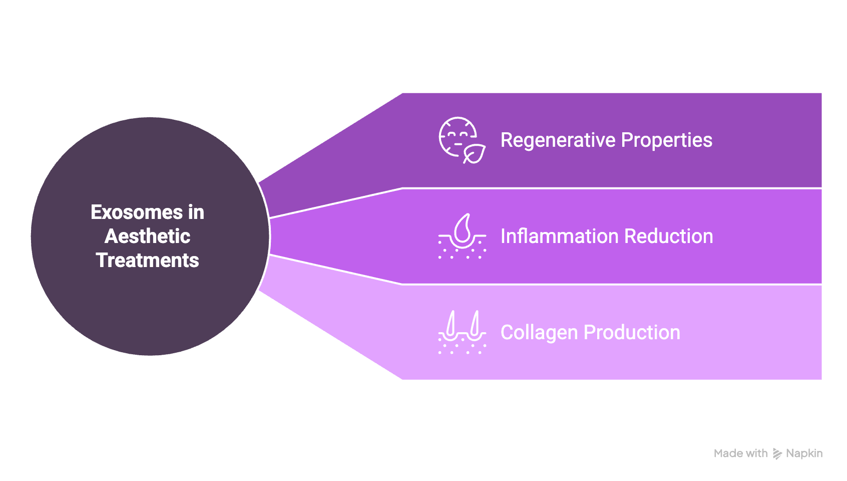A chart depicting the role of exosomes in aesthetic treatments, featuring regenerative properties, inflammation reduction, & collagen production